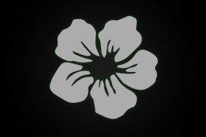 Fragezeichen-300x200